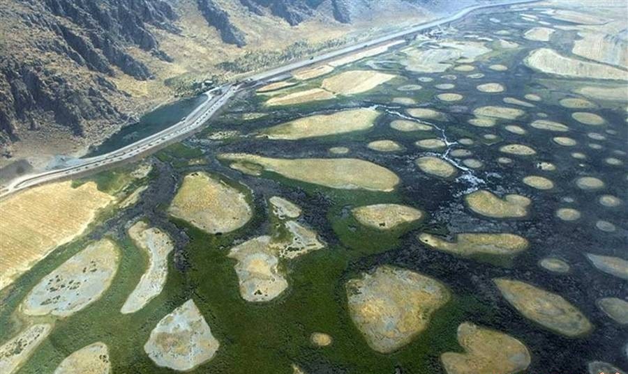 دوباره زندگی... دوباره زندگی...