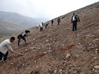 اجرای ۵۶۰۰ هکتار عملیات بیولوژیک وبیومکانیک اجرای ۵۶۰۰ هکتار عملیات بیولوژیک وبیومکانیک