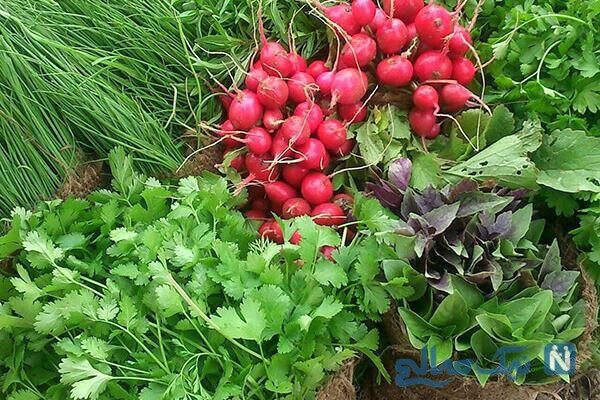سبزی خوردن سر سفره&zwnj; تان باشد