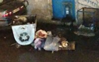 چهره نازیبای شهر پس از زباله گردی و انباشت زباله