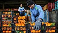 تشدید نظارت بر بازار کشاورزی زنجان