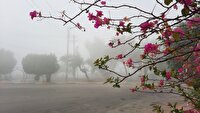 رطوبت ۹۴ درصدی هوا در جنوب غرب خوزستان