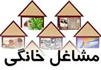 رشد چشمگیر اعتبارات مشاغل خانگی در استان مرکزی