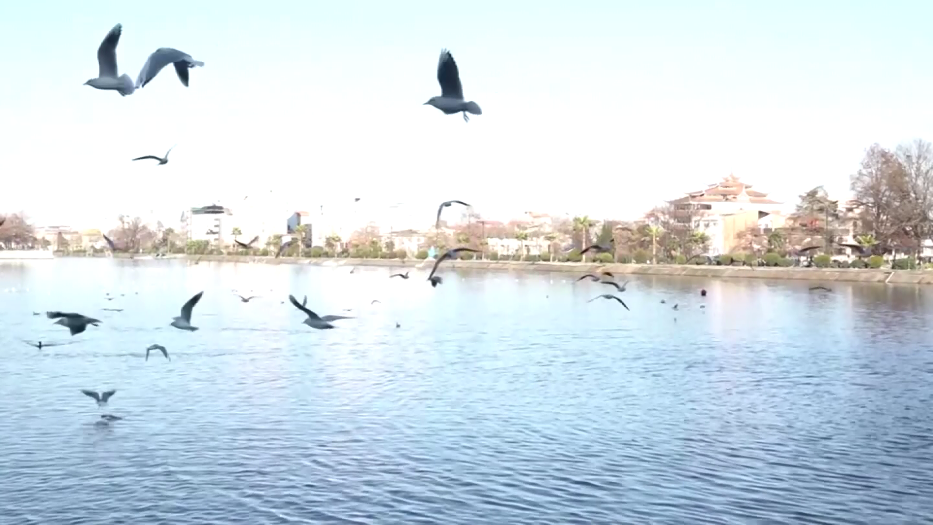 ورود سامانه جنوبی و افزایش دما در گیلان