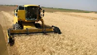ساماندهی۱۸۰۰ کمباین برای فصل برداشت غلات در آذربایجان‌غربی