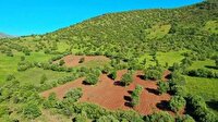 رفع تصرف ۱۳ هزار مترمربع زمین ملی در تالش