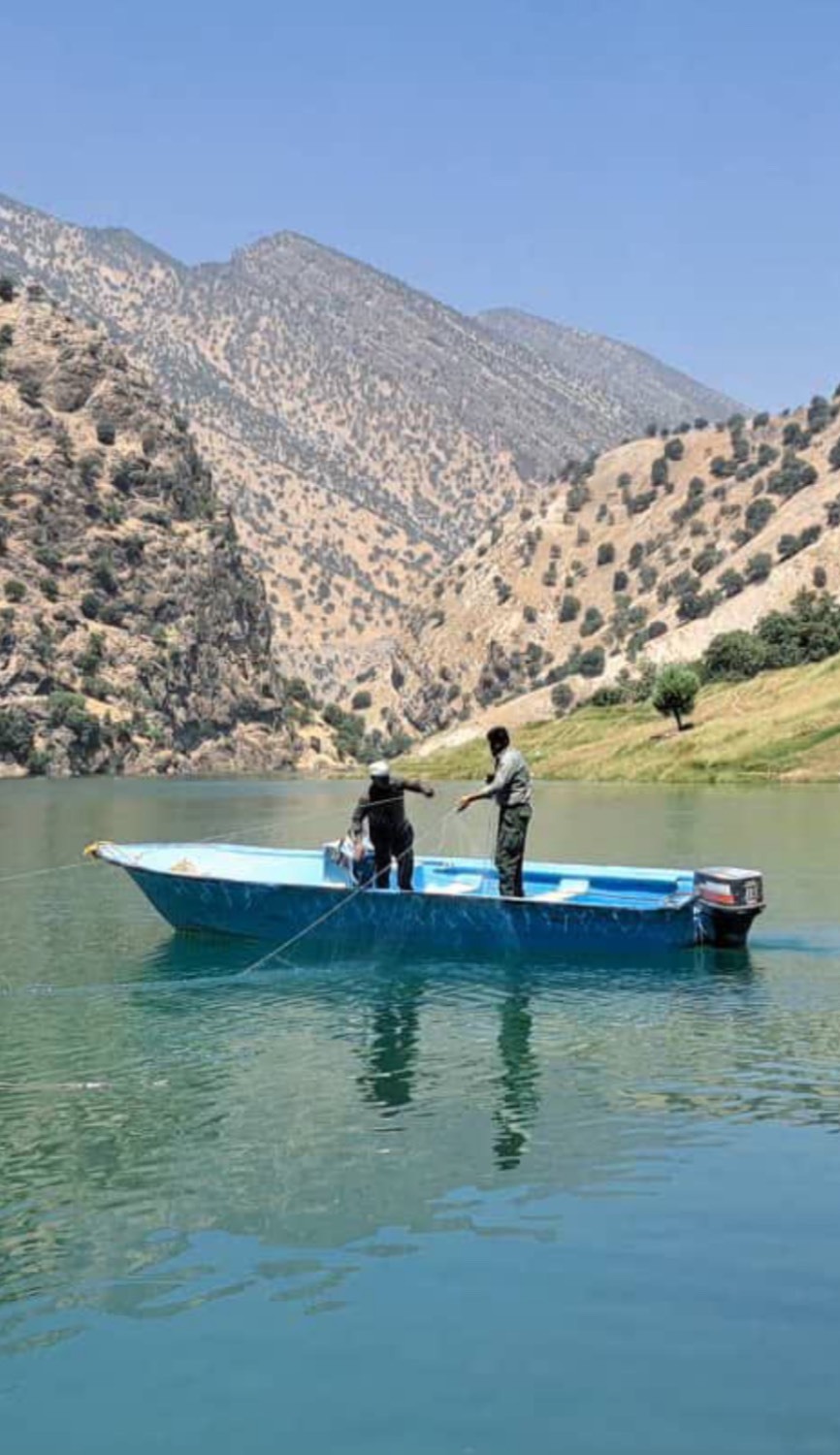 جمعآوری ۵۰۰ متر تور ماهیگیری غیرمجاز در دریاچه سد کارون ۴ جمعآوری ۵۰۰ متر تور ماهیگیری غیرمجاز در دریاچه سد کارون ۴
