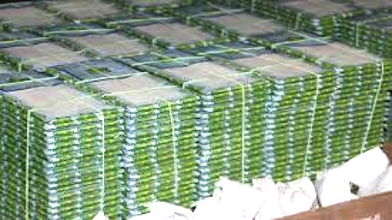۱۰ خرداد، آخرین مهلت توزیع تخم نوغان در گیلان