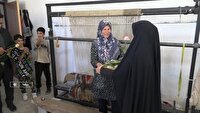 تجلیل از هنرمندان صنایع دستی در بیضا