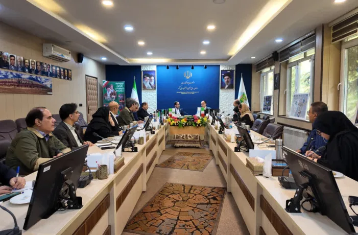 دیدار